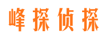 西区市婚外情取证